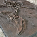 Cargar la imagen en la vista de la galería, Dsungaripterus Young Fossil Replica-SKR043
