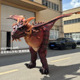 Carica l'immagine nel visualizzatore della galleria, Fire Dragon Costume-DCDR002
