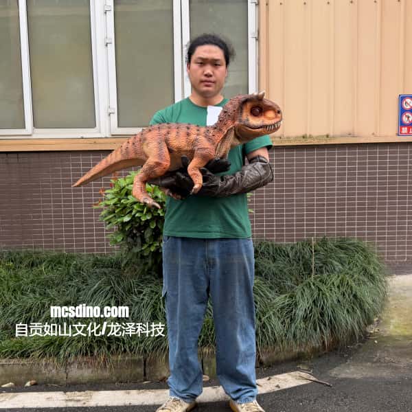 Handheld Dinosaur Carnotaurus Model Prop for Theme Parks-BB154