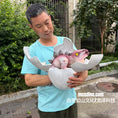 Charger l'image dans la visionneuse de la galerie, Hatching Dinosaur Egg Hand Puppet-BB020
