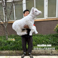 Cargar la imagen en la vista de la galería, Person holding a fluffy white lamb outdoors with a building in the background
