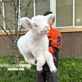 Cargar la imagen en la vista de la galería, Person holding a small white lamb outdoors with a building in the background
