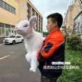 Cargar la imagen en la vista de la galería, Lifelike Lamb Hand Puppet-BB138
