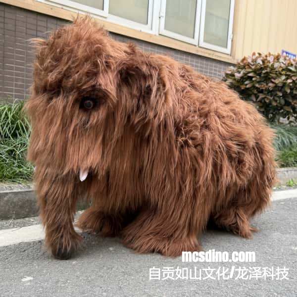 Brown dog with shaggy fur standing on a street