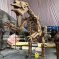 Charger l'image dans la visionneuse de la galerie, Megatherium Skeleton Fossil Replica-SKR010

