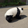 Load image into Gallery viewer, PandaSkinForRobotDog-MCSRTR37_2
