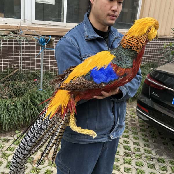 Pheasant Bird Hand Puppet-BB145