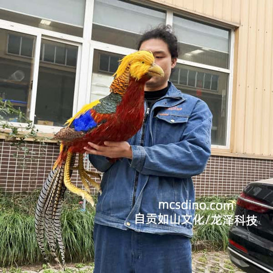 Person holding a colorful pheasant in front of a building