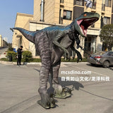 Raptor Suit Designed By MCSDINO-DCRP702