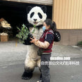 Load image into Gallery viewer, Person hugging a large panda costume outside a building
