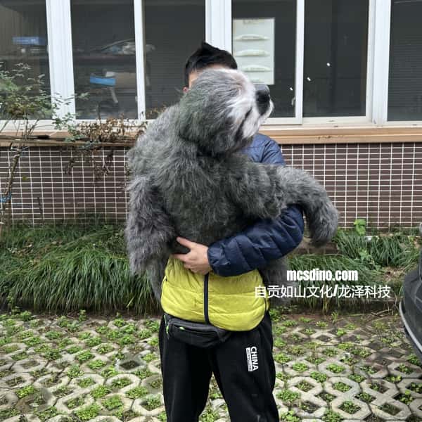 Person holding a large plush sloth toy outdoors.