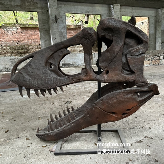 Réplique de crâne de T-Rex-SKR004