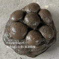 Load image into Gallery viewer, SKR040-Ornithopod Nest-USD350
