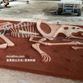 Charger l'image dans la visionneuse de la galerie, Velociraptor vs Protoceratops Fossil Replica
