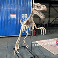 Cargar la imagen en la vista de la galería, DinosaurSkeletonPropsEspeciallyForShow
