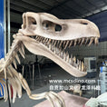 Bild in Galerie-Betrachter laden, DinosaurSkeletonPropsEspeciallyForShow
