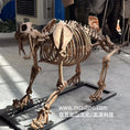 Load image into Gallery viewer, Decoration Saber-tooth Skeleton Replica-SKR009
