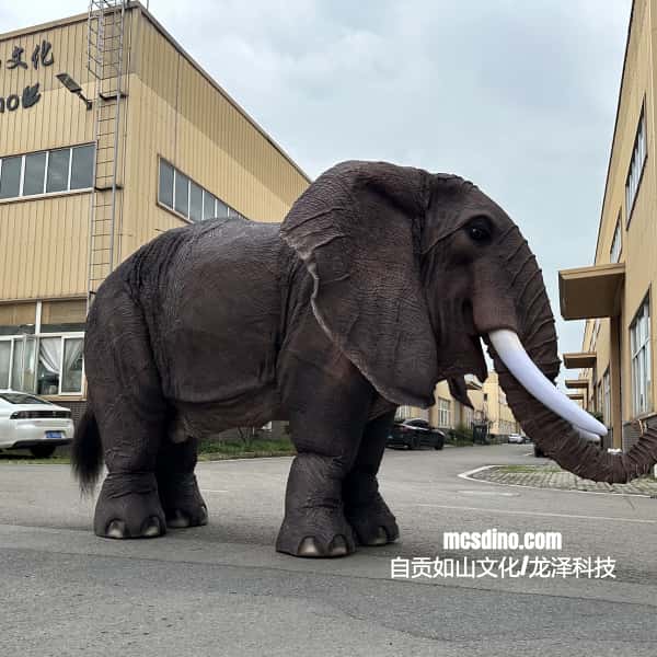 Realistic elephant costume in front of a building