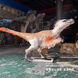 Velociraptor VS Protoceratops Animatronics