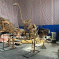 Carica l'immagine nel visualizzatore della galleria, Elephant Bird Skeleton Replica-SKR035
