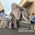 Load image into Gallery viewer, elephant costume made by mcsdino
