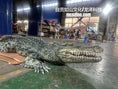 Charger l'image dans la visionneuse de la galerie, Realistic Alligator Costume-DCCC002
