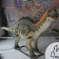 Bild in Galerie-Betrachter laden, Amargasaurus Simulation Dinosaur Model
