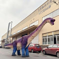 Carica l'immagine nel visualizzatore della galleria, Brachiosaurus Costume-DCBR202
