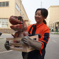 Carica l'immagine nel visualizzatore della galleria, Dinosaur Puppet Baby T-Rex In Crate 
