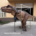 Charger l'image dans la visionneuse de la galerie, Giant Tyrannosaurus Rex Costume-DCTR602
