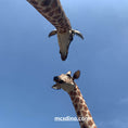 Load image into Gallery viewer, giraffe couple animatronics-mcsdino
