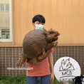 Load image into Gallery viewer, Baby Glyptodon Animal Puppet
