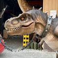 Load image into Gallery viewer, Jurassic Events T-Rex Costume-DCTR633
