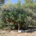 Bild in Galerie-Betrachter laden, Monkeys On Tree Decoration
