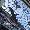 Carica l'immagine nel visualizzatore della galleria, Pterodactyl Hanging from ceiling
