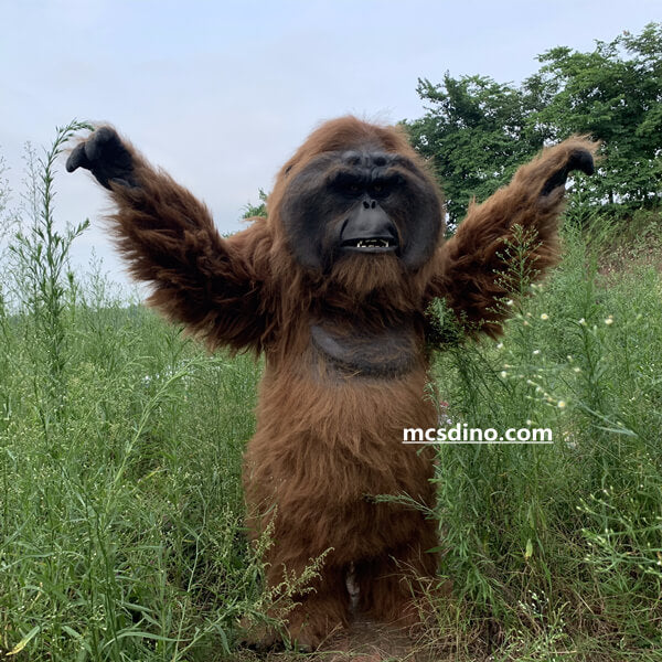 Disfraz de orangután animatrónico de tamaño natural-DCOR001
