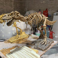Carica l'immagine nel visualizzatore della galleria, T-Rex Skeleton Jurassic themed Desk Decoration
