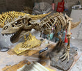 Load image into Gallery viewer, T-Rex Skeleton Mount
