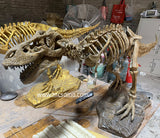 T-Rex Skeleton Mount