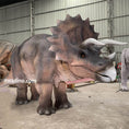Charger l'image dans la visionneuse de la galerie, Triceratops Costume Dino Suit
