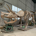 Load image into Gallery viewer, Triceratops Fossil Replica 7-feet Tall
