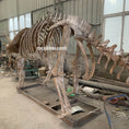 Load image into Gallery viewer, Triceratops Fossil Replica 7-feet Tall
