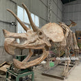 Carica l'immagine nel visualizzatore della galleria, Triceratops Fossil Replica 7-feet Tall
