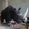 Cargar la imagen en la vista de la galería, woolly rhinoceros animatronic model
