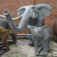 Bild in Galerie-Betrachter laden,  Adult And Baby Elephant (spray water)
