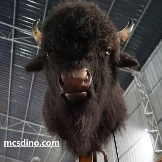 Montura animatrónica de búfalo con cabeza de bisonte-MAB006