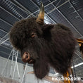 Charger l'image dans la visionneuse de la galerie, Tête de bison animatronique Mont Buffalo-MAB006
