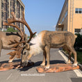 Load image into Gallery viewer, mcsdino designed animatronic caribou reindeer 
