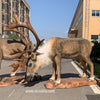 mcsdino designed animatronic caribou reindeer 