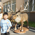 Load image into Gallery viewer, Animatronic Caribou Reindeer Model Set-MAR004B
